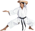 Karate Gi Tenno