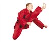 Karate Gi Kirin