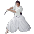 Aikido en Kendo Hakama