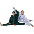 Wu Shu & Tai Chi uniform