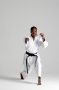Adidas Karate Training Gi