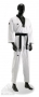 Adidas Taekwondo pak 