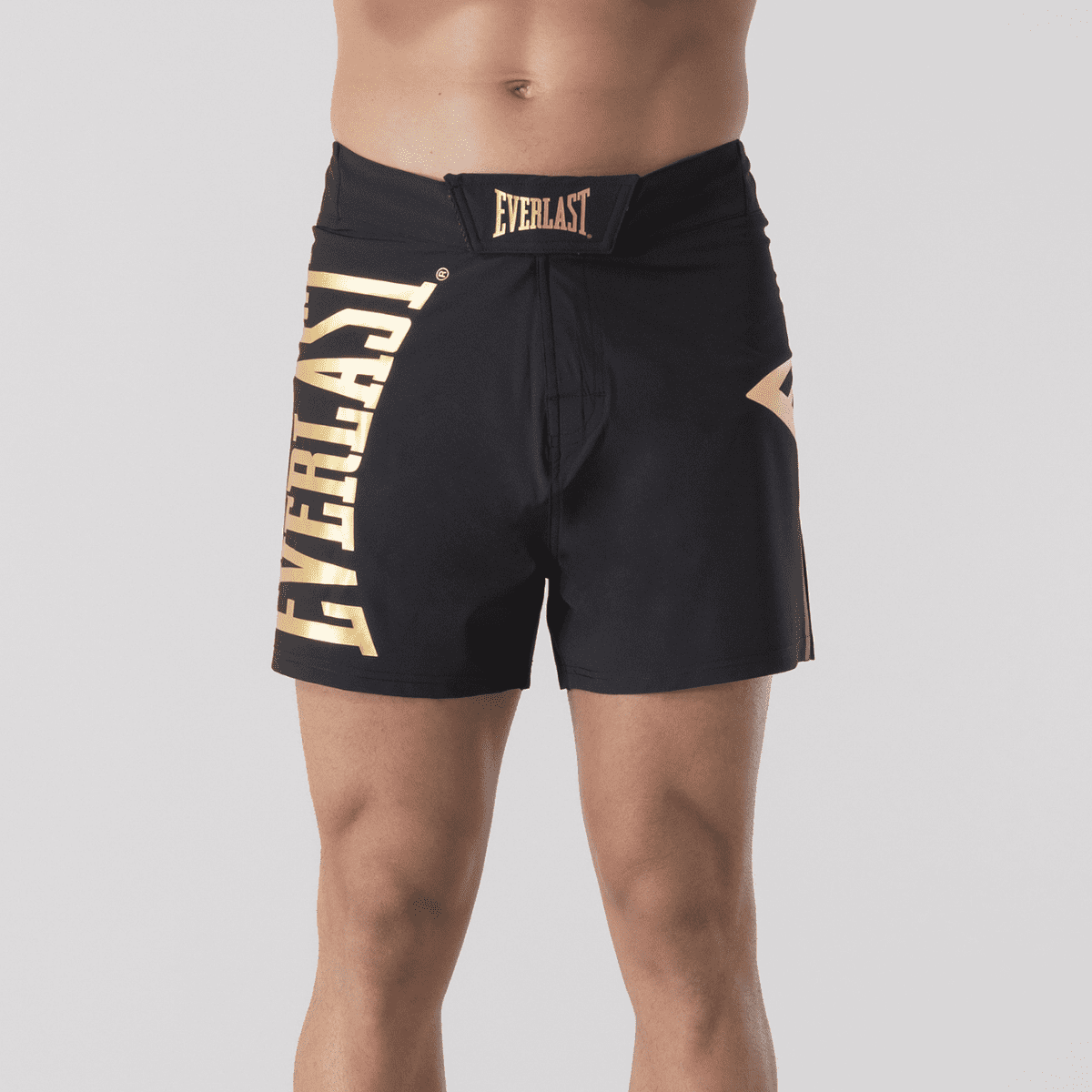 Everlast MMA Shorts Metallic Goud XXL (Goud) Everlast MMA Shorts Metallic Goud XXL (Goud)