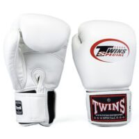 Twins Special Kickbokshandschoenen 8oz-20oz (BG N V2 WHITE)