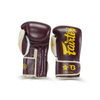Fairtex Booster Kickbokshandschoenen FXB BG V2 BK CR (FXB-BG-V2-BK-CR)