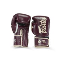 Fairtex X Booster Kickbokshandschoenen Bruin (FXB BG V2 BR CR)