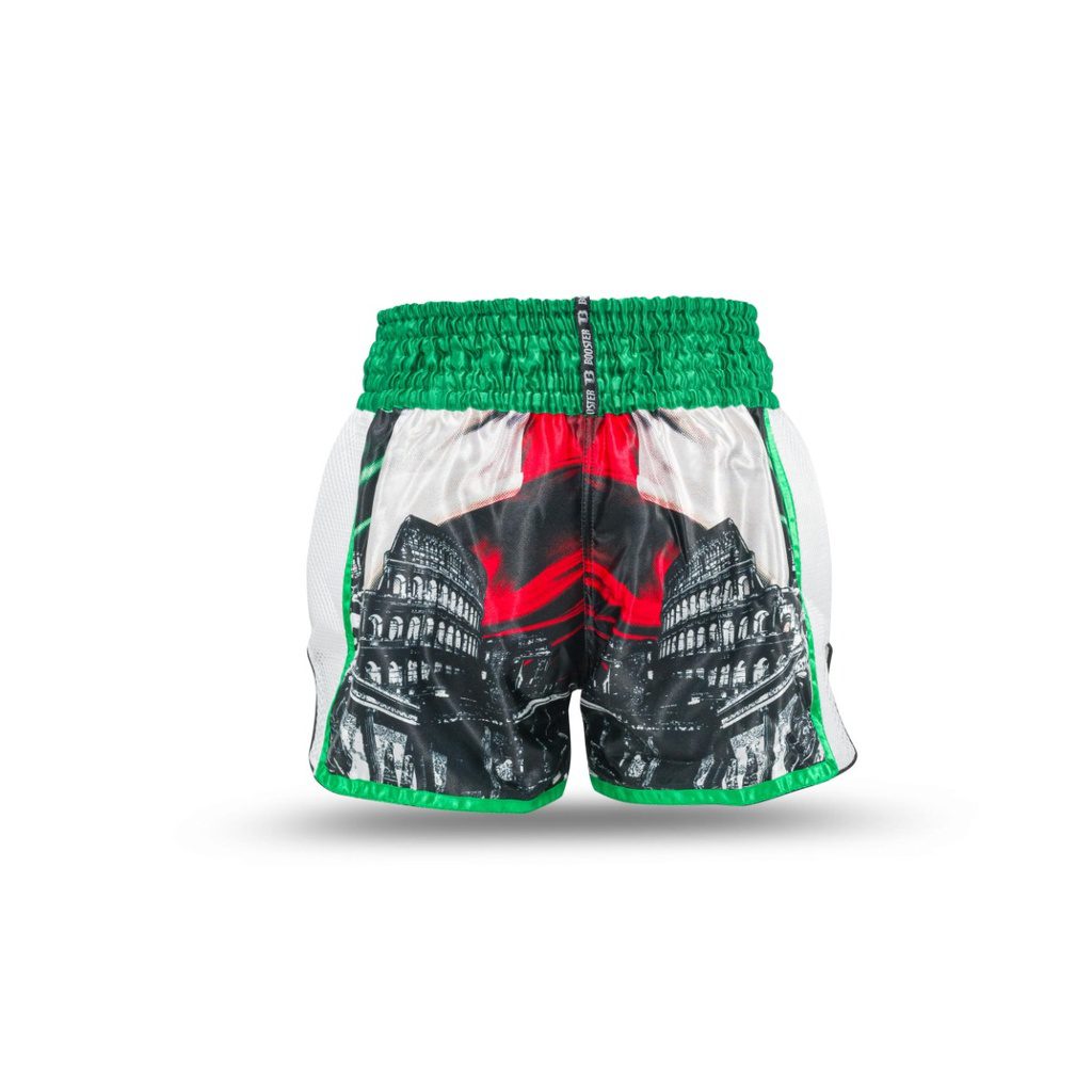 Booster Fight Gear Muaythai Trunks (TBT COUNTRY IT) Booster Fight Gear Muaythai Trunks (TBT COUNTRY IT)