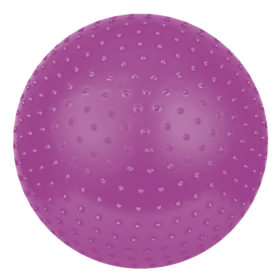 Gym bal roze (65 cm)<!-- 86768 Vechtsportwinkel.com -->