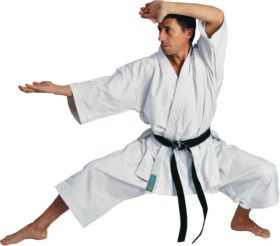 Hayashi Karatepak “Legend” Wit