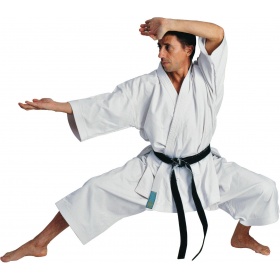 Hayashi Karatepak “Legend” Wit