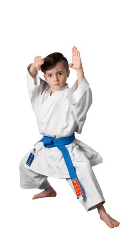 Hayashi Karatepak “Reikon” (WKF Approved) Wit