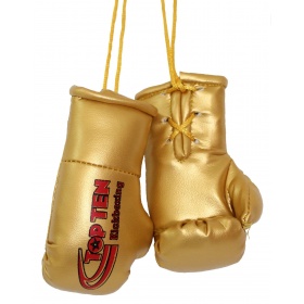 TOP TEN Mini bokshandschoenen “TOP TEN Kickboxing” goud