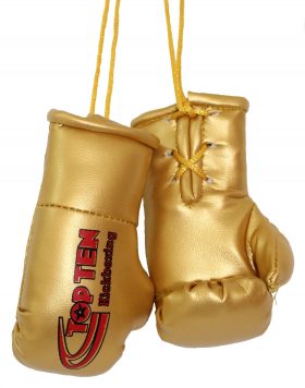 TOP TEN Mini bokshandschoenen “TOP TEN Kickboxing” goud