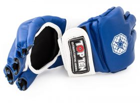 TOP TEN MMA MMA handschoenen “Striking C-Type” Blauw - Wit