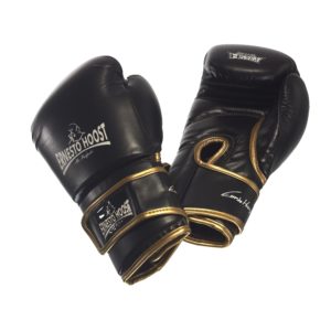 Ernesto Hoost Amateur bokshandschoenen - Bokshandschoenen