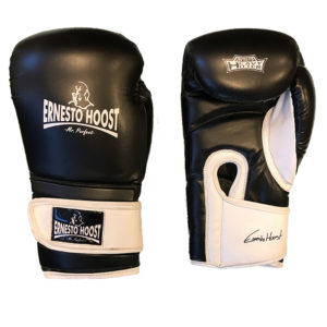 Ernesto Hoost Amateur (Kick)Bokshandschoenen - Wit - Bokshandschoenen