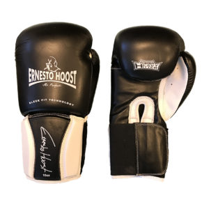 Ernesto Hoost Pro Fight (Kick)Bokshandschoenen - Wit - Bokshandschoenen