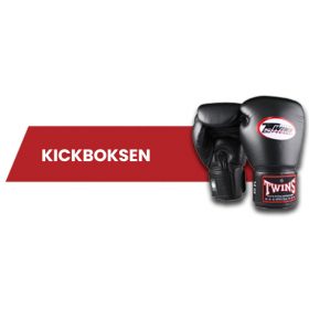 Kickboksen
