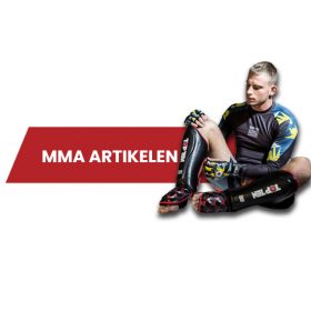 Mixed Martial Arts (MMA)