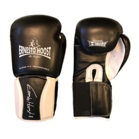 Ernesto Hoost Pro Fight (Kick)Bokshandschoenen - Wit