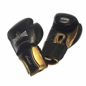Ernesto Hoost Pro Fight bokshandschoenen