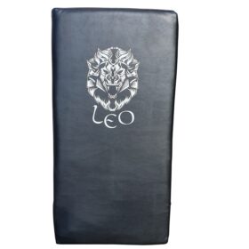Leo Kicking Shield Straight