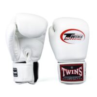 Twins Special Kickbokshandschoenen 8oz-20oz (BG N V2 WHITE)