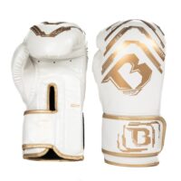 Booster Kickbokshandschoenen Youth Elite V2 (BG YOUTH ELITE V2)