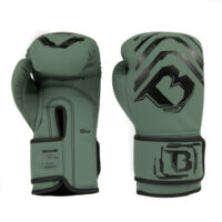 Booster Kickbokshandschoenen Youth Elite V2 (BG YOUTH ELITE V2)