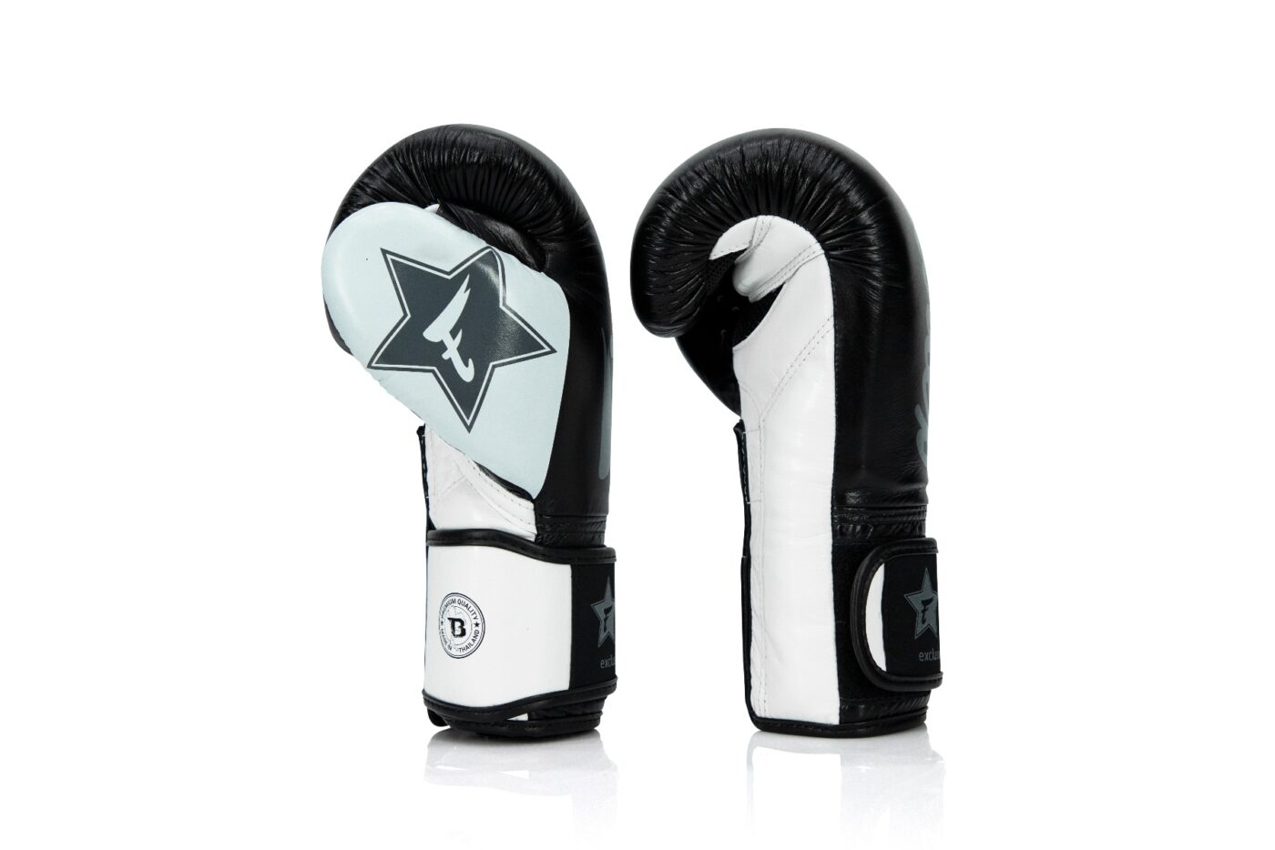 Fairtex Booster Kickbokshandschoenen FXB BG V2 BK WH (FXB-BG-V2-BK-WH)