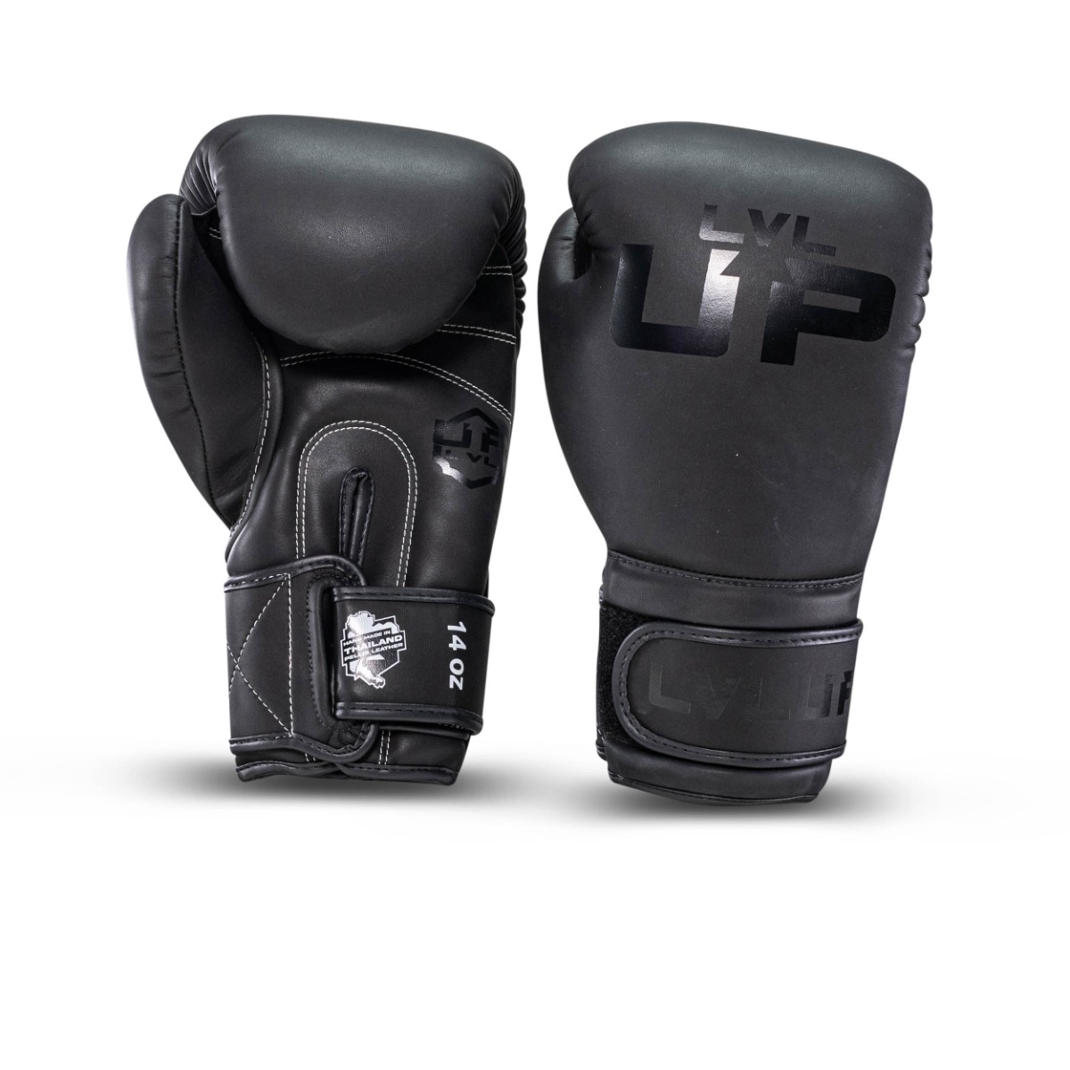 Kickbokshandschoenen LVL-UP BG-2 (LVL-UP BG-2)