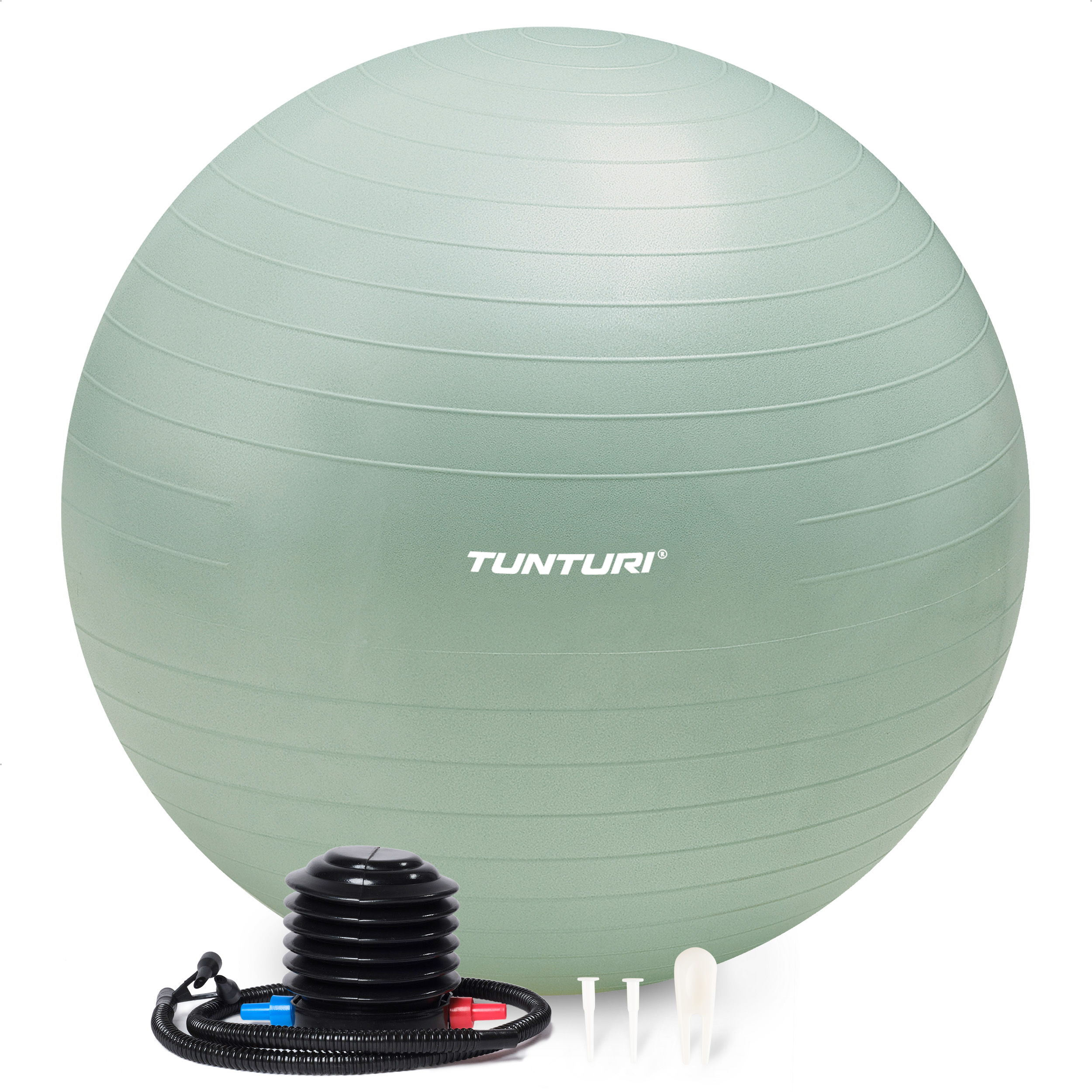 Tunturi Gymbal - Anti Burst 65 cm - Munt Tunturi Gymbal - Anti Burst 65 cm - Munt
