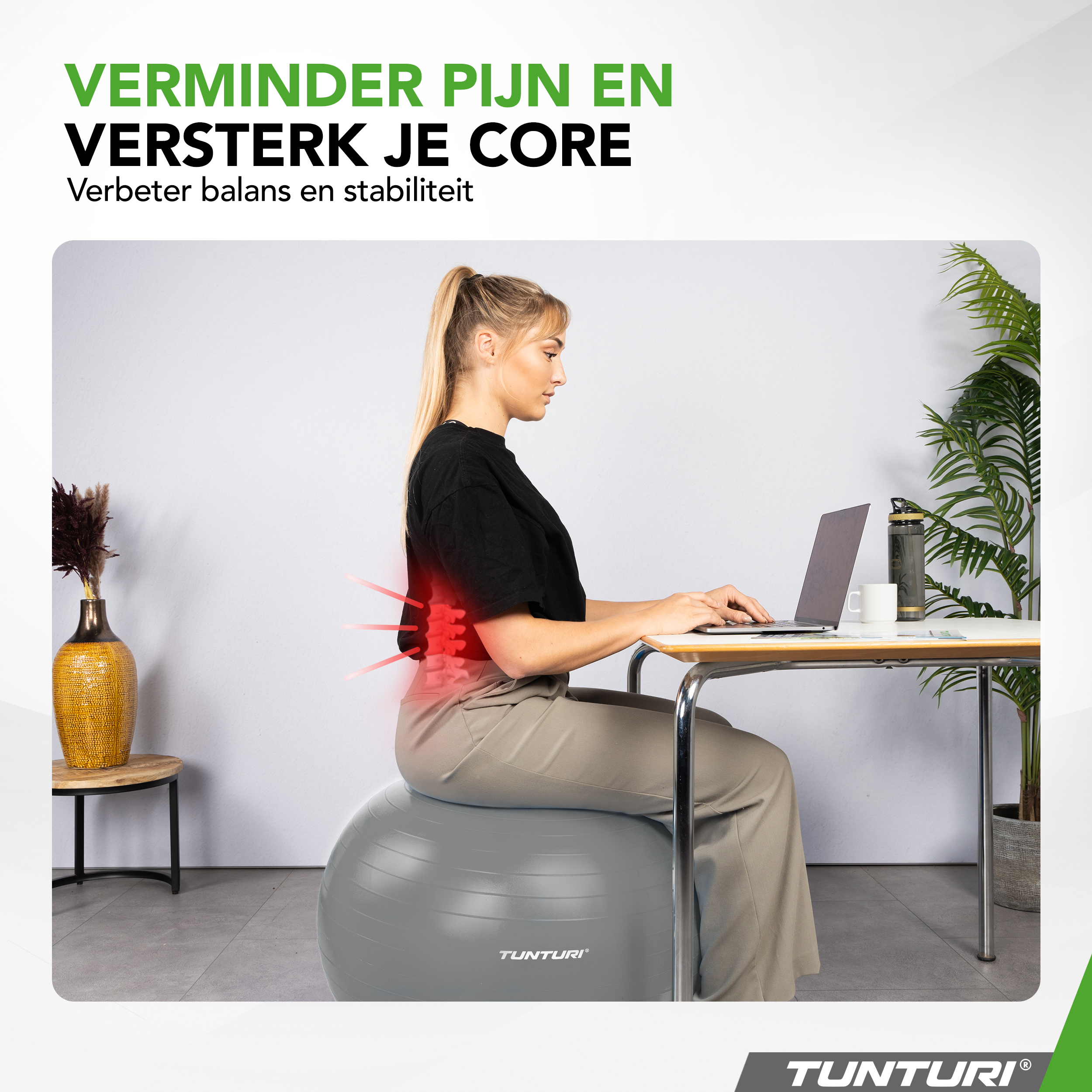 Tunturi Gymbal - Anti Burst 55 cm - Zilver Tunturi Gymbal - Anti Burst 55 cm - Zilver