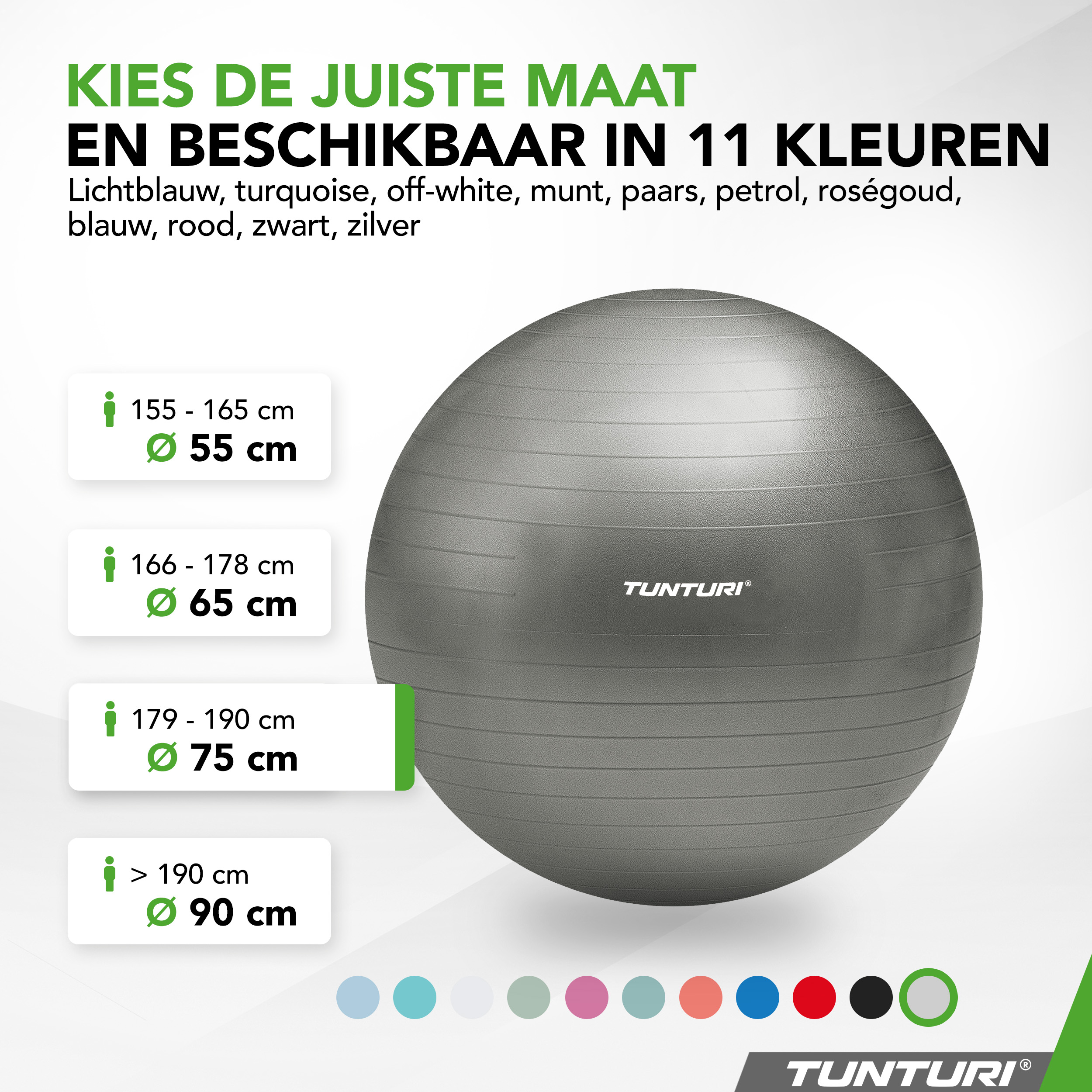 Tunturi Gymbal - Anti Burst 75 cm - Zilver Tunturi Gymbal - Anti Burst 75 cm - Zilver