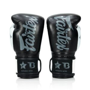 Fairtex Booster Bokshandschoenen FXB V2 (FXB BG V2 BK WH)