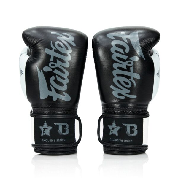 Fairtex Booster Bokshandschoenen FXB V2 (FXB BG V2 BK WH)