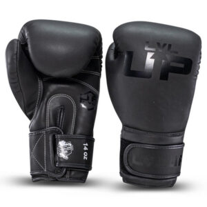 LVL-UP Bokshandschoenen Premium Leer (LVL UP BG 2)