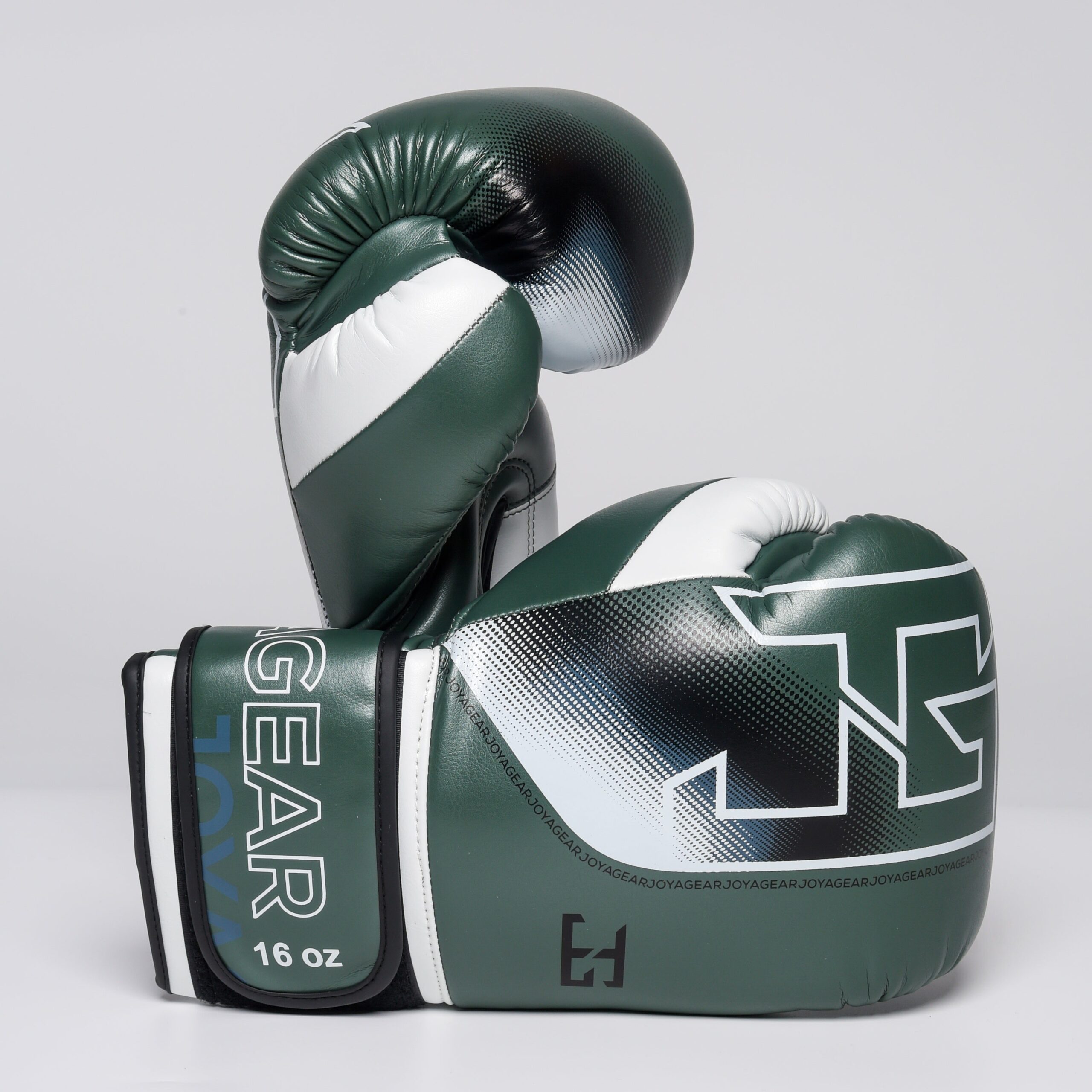 Joya Evolution Pro Bokshandschoenen Groen Wit