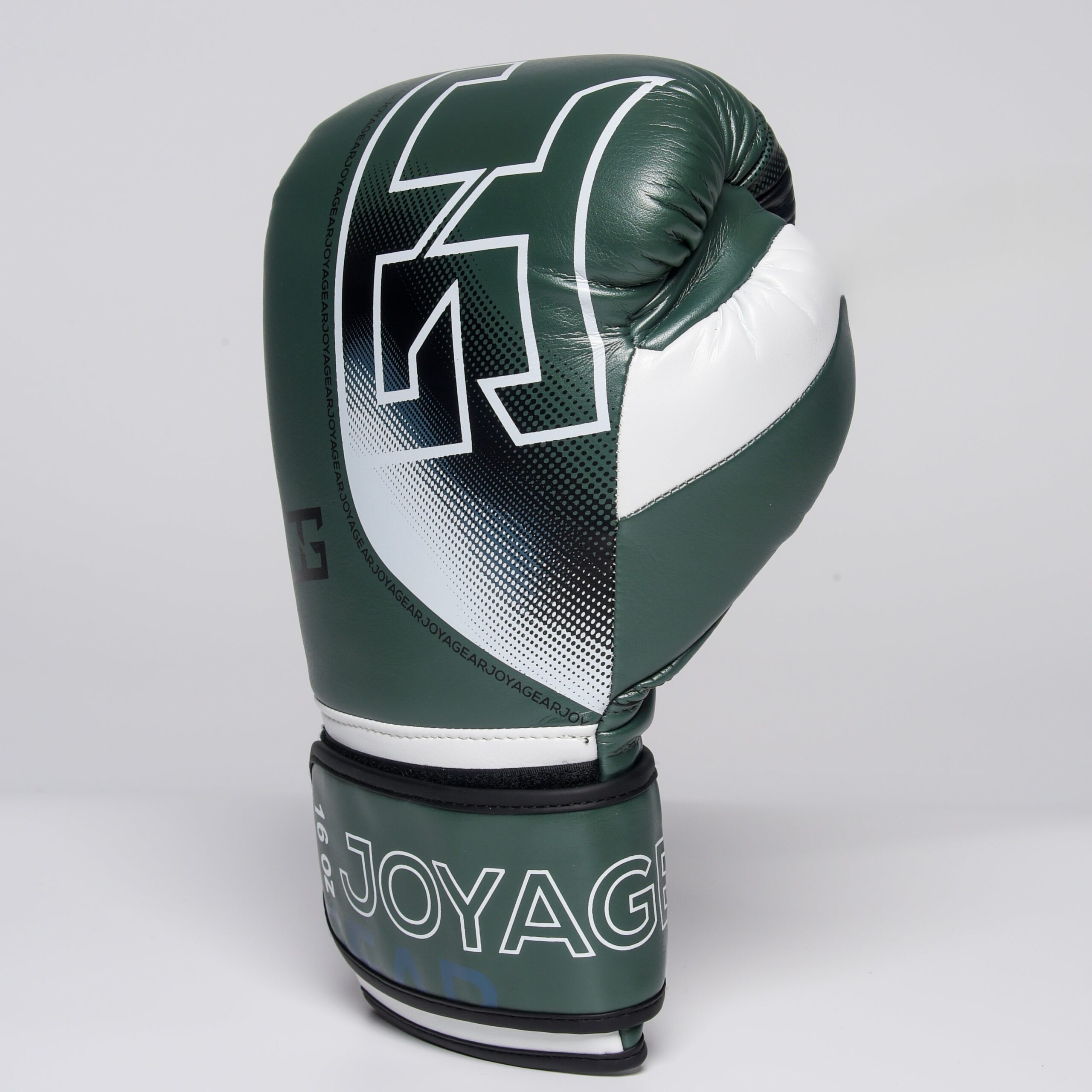 Joya Evolution Pro Bokshandschoenen Groen Wit Joya Evolution Pro Bokshandschoenen Groen Wit