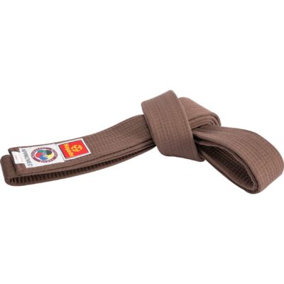 Hayashi Budoband - Band voor Judo, Karate en Taekwondo - Bruin