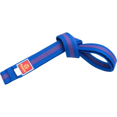 Hayashi Budoband - Band voor Judo, Karate en Taekwondo - Blauw / Paars
