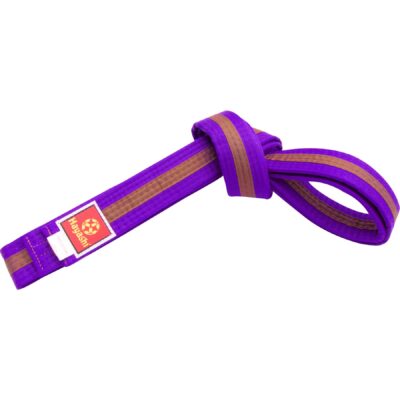 Hayashi Budoband - Band voor Judo, Karate en Taekwondo - Paars / Bruin