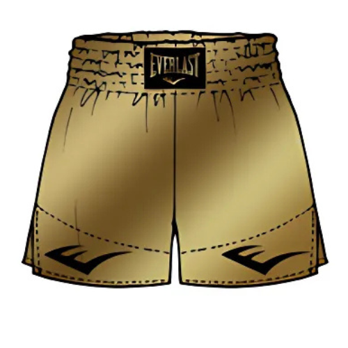 Everlast Thaiboksbroekje - Muay Thai Shorts - Goud Everlast Thaiboksbroekje - Muay Thai Shorts - Goud